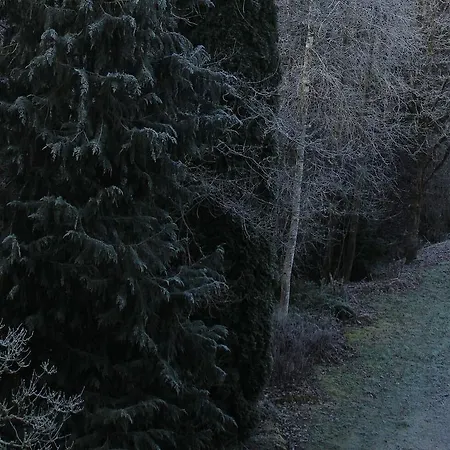 Glücklich Gasthof Horgenzell