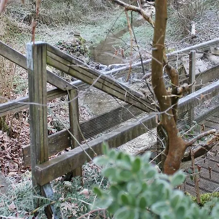 Glücklich Horgenzell