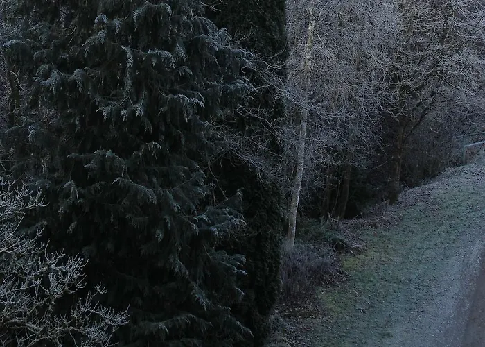 Gluecklich Kro Horgenzell